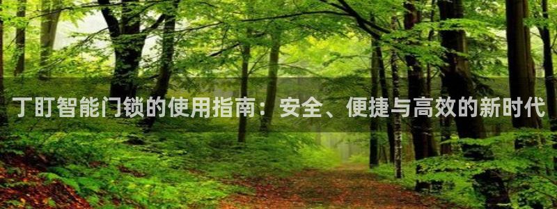 利记游戏开户ysb体育官方官网：丁盯智能门锁的使用指南：安全