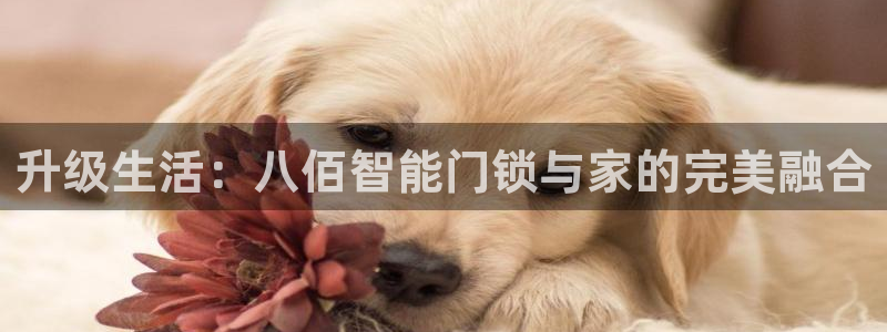 利记博彩官网