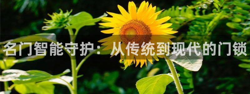 利记sbobet官网：名门智能守护：从传统到现代的门锁