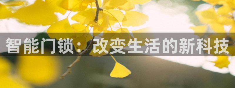利记官网注册网：智能门锁：改变生活的新科技
