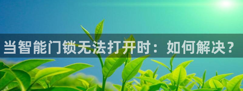 利记官网香菜1：当智能门锁无法打开时：如何解决？