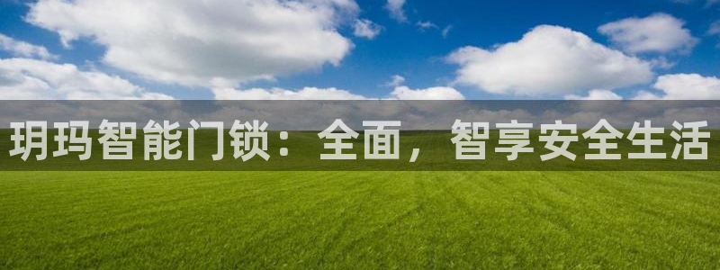 利记 官网：玥玛智能门锁：全面，智享安全生活