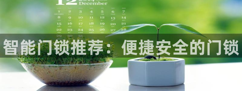 利记彩票官网：智能门锁推荐：便捷安全的门锁