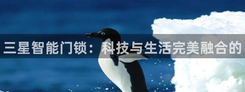 万利记官方旗舰店官网：三星智能门锁：科技与生活完美融合的