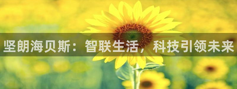 利记国际有限公司官网：坚朗海贝斯：智联生活，科技引领未来