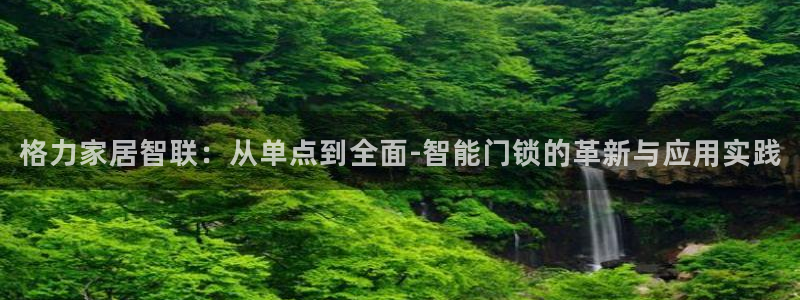 利记厨具官网售后：格力家居智联：从单点到全面-智能门锁的革新