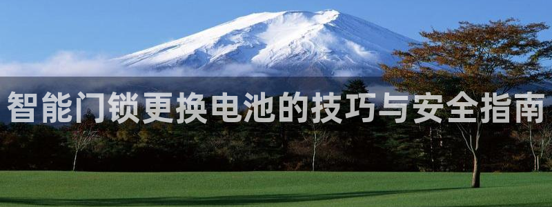 铂利记旗舰店官网：智能门锁更换电池的技巧与安全指南