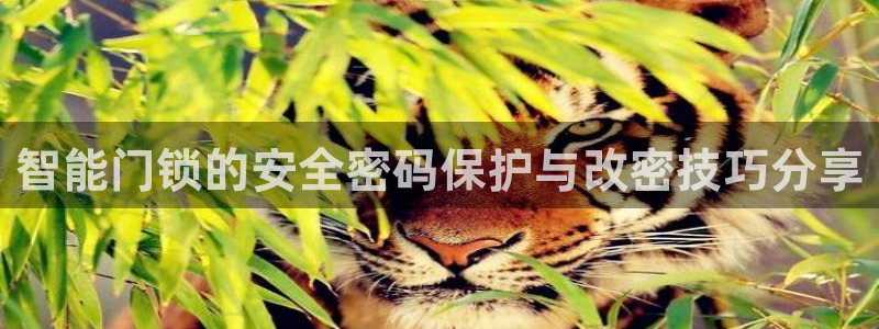 利记集团官网：智能门锁的安全密码保护与改密技巧分享