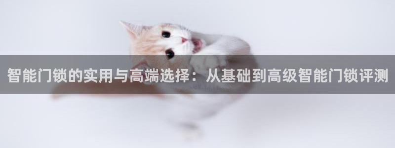 利记sbobet官网电脑版：智能门锁的实用与高端选择：从基础