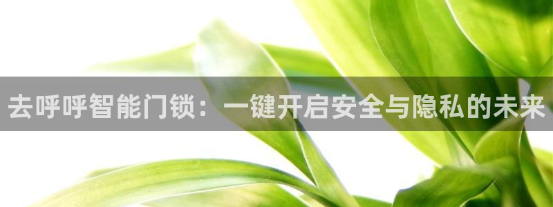 利记官网多少：去呼呼智能门锁：一键开启安全与隐私的未来