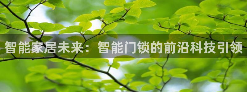 利记官网葡京投注网址：智能家居未来：智能门锁的前沿科技引领