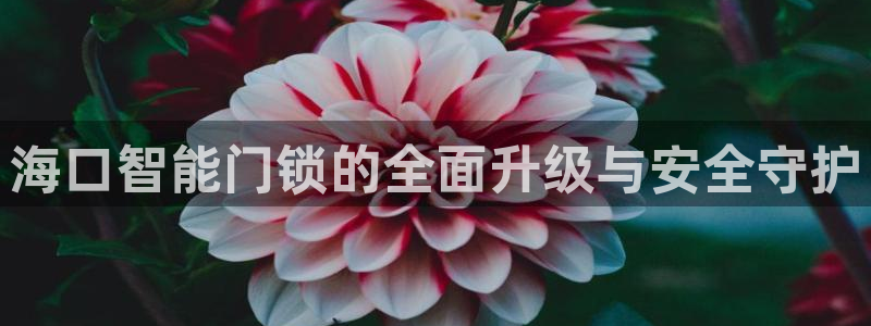 利记体育在线官网：海口智能门锁的全面升级与安全守护
