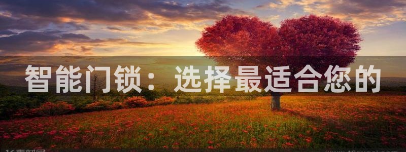 利记官网加盟：智能门锁：选择最适合您的