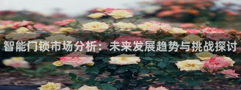 利记网官网：智能门锁市场分析：未来发展趋势与挑战探讨