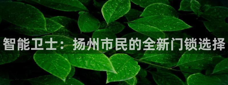 利记bet官网登录入口：智能卫士：扬州市民的全新门锁选择