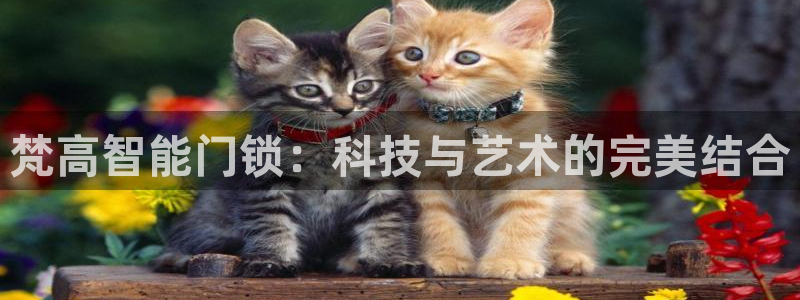 利记体育app官网：梵高智能门锁：科技与艺术的完美结合