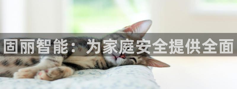 香港利记集团官网旗舰店