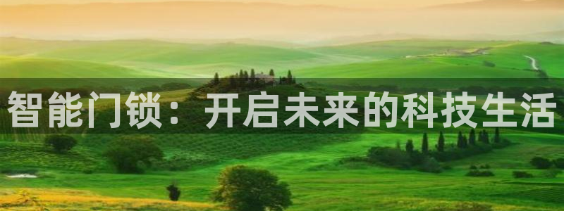利记平台官网首页