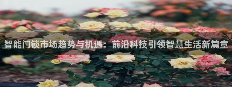 利记平台官网：智能门锁市场趋势与机遇：前沿科技引领智慧生活新