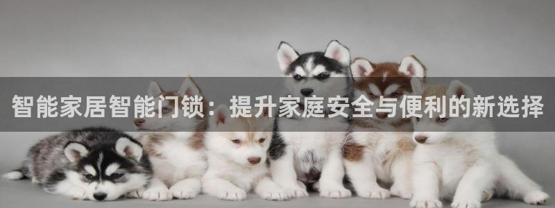 利记网官网：智能家居智能门锁：提升家庭安全与便利的新选择