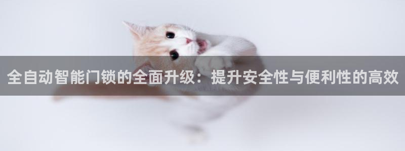 利记官网行业领导者：全自动智能门锁的全面升级：提升安全性与便
