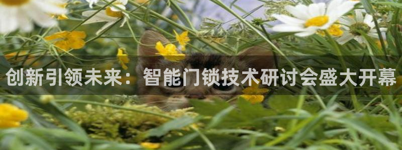 利记官网首页：创新引领未来：智能门锁技术研讨会盛大开幕