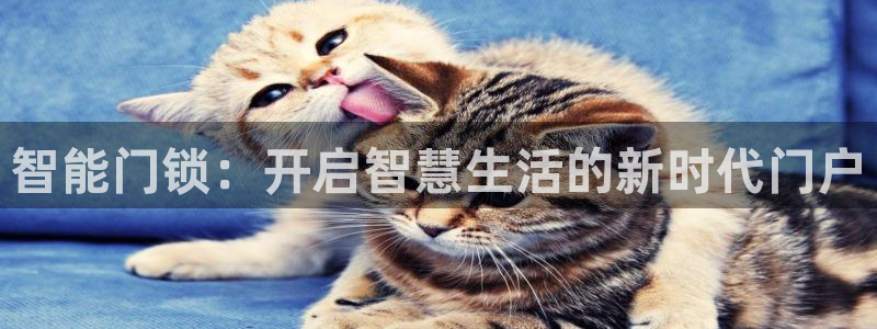 香港利记集团官网旗舰店：智能门锁：开启智慧生活的新时代门户