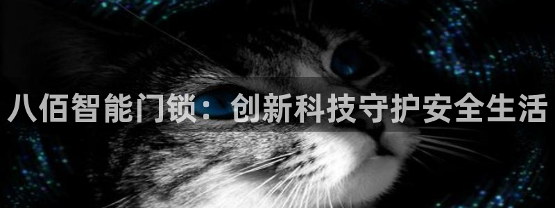 利记88官网app：八佰智能门锁：创新科技守护安全生活