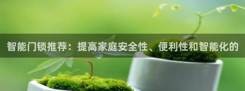 sbo利记体育官网注册：智能门锁推荐：提高家庭安全性、便利性