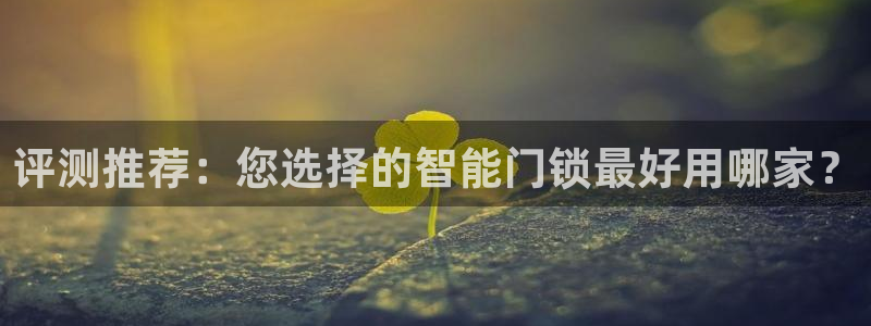利记官网app：评测推荐：您选择的智能门锁最好用哪家？
