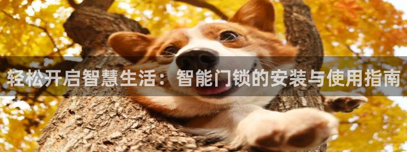 利记网址注册官网：轻松开启智慧生活：智能门锁的安装与使用指南