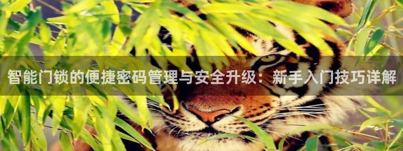 万利记菜单价格查询官网：智能门锁的便捷密码管理与安全升级：新