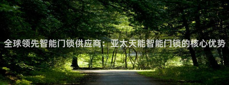 利记官网入口：全球领先智能门锁供应商：亚太天能智能门锁的核心