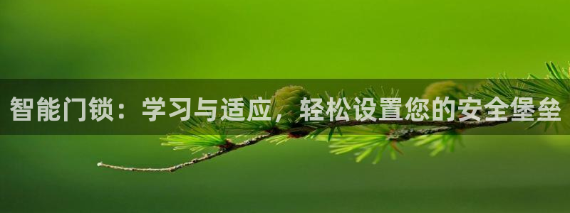 利记坊官网注册账号申请：智能门锁：学习与适应，轻松设置您的安