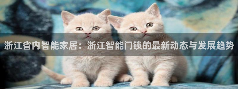 利记官网a：浙江省内智能家居：浙江智能门锁的最新动态与发展趋