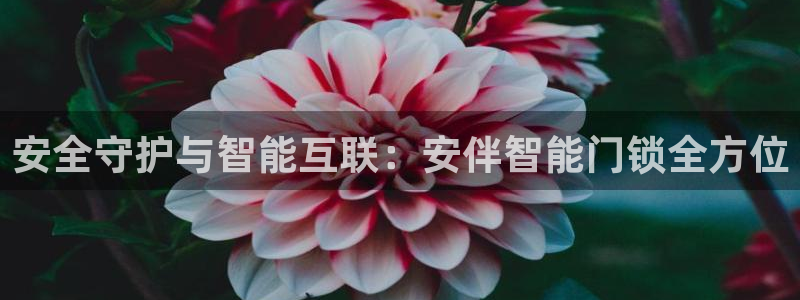 利记坊官网：安全守护与智能互联：安伴智能门锁全方位