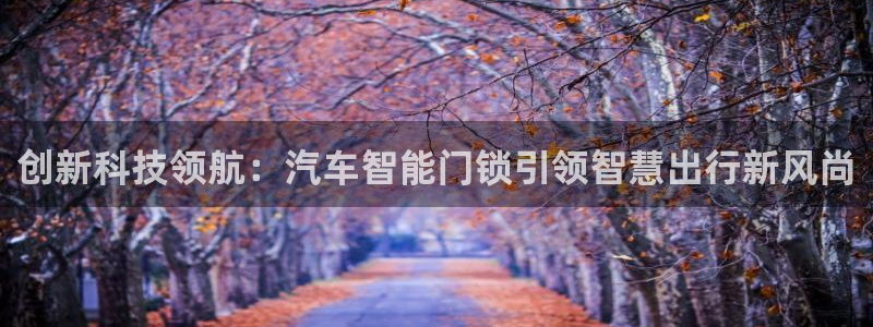 利记手机官网bb电子平台官方：创新科技领航：汽车智能门锁引领