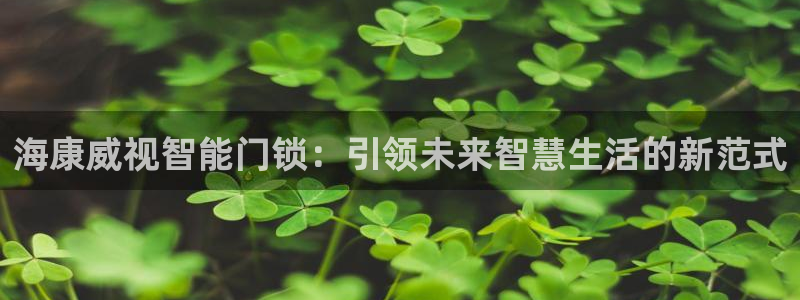 利记真的官网：海康威视智能门锁：引领未来智慧生活的新范式