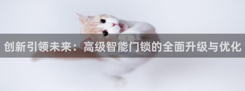 188bet注册利记官网app：创新引领未来：高级智能门锁的