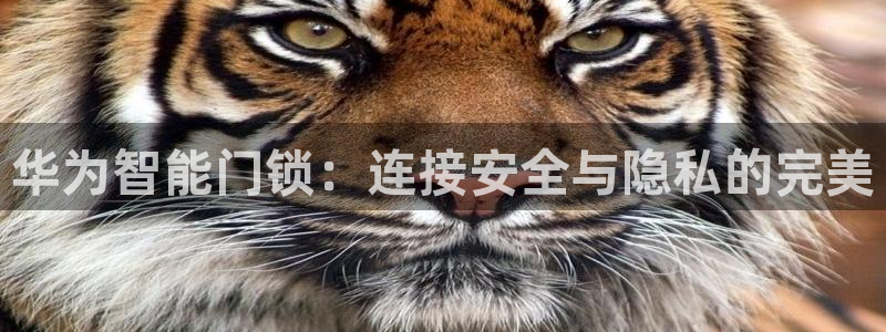 利记坊官网：华为智能门锁：连接安全与隐私的完美