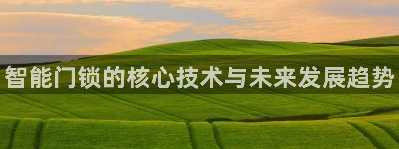 利记娱乐会员金钻官网
