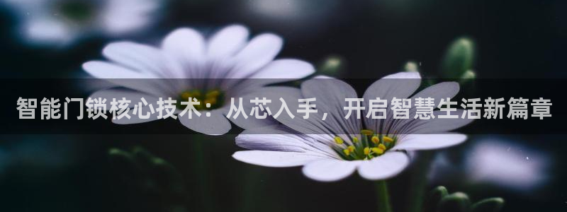 利记体育官网：智能门锁核心技术：从芯入手，开启智慧生活新篇章