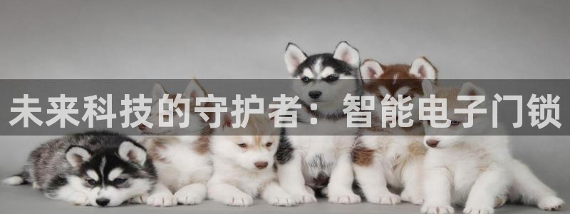 利记官网入口：未来科技的守护者：智能电子门锁
