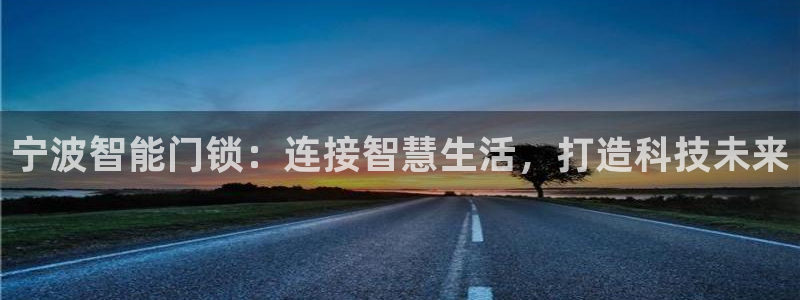 利记官网是多少:宁波智能门锁:连接智慧生活,打造科技未来