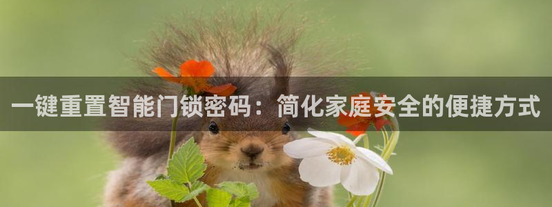 利记体育手机版官网:一键重置智能门锁密码:简化家庭安全的便捷