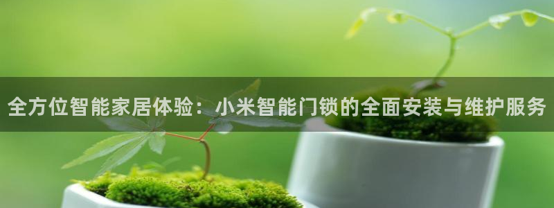 利记彩票官网wx678 com：全方位智能家居体验：小米智能