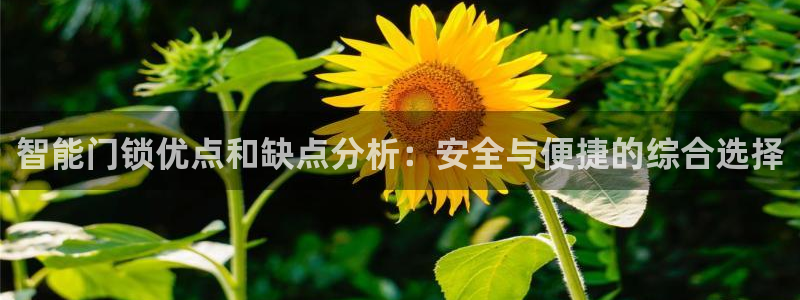 万利记官网：智能门锁优点和缺点分析：安全与便捷的综合选择