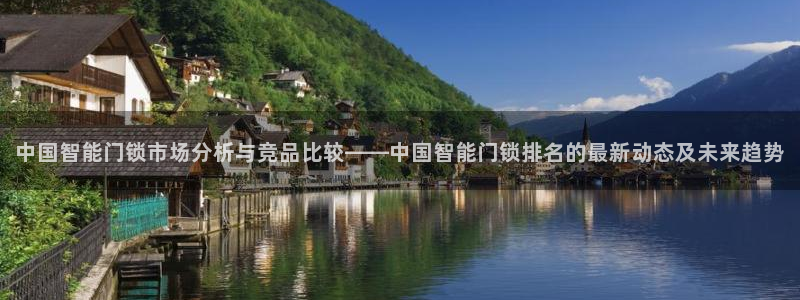 利记官网行业领导者:中国智能门锁市场分析与竞品比较——中国智