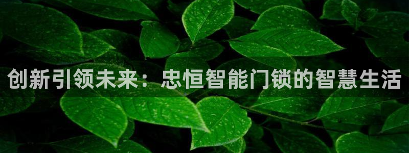 利记官网a:创新引领未来:忠恒智能门锁的智慧生活