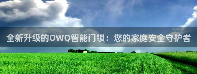香港利记集团官网：全新升级的OWQ智能门锁：您的家庭安全守护